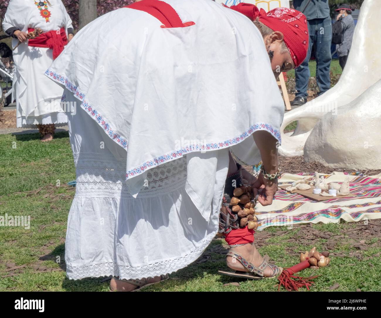 A dancer from the Calpulli Mexican Dance Group adjusts the wooden percussion instrument on her ankle during and Aztec ceremony of celebration. In NYC Stock Photo