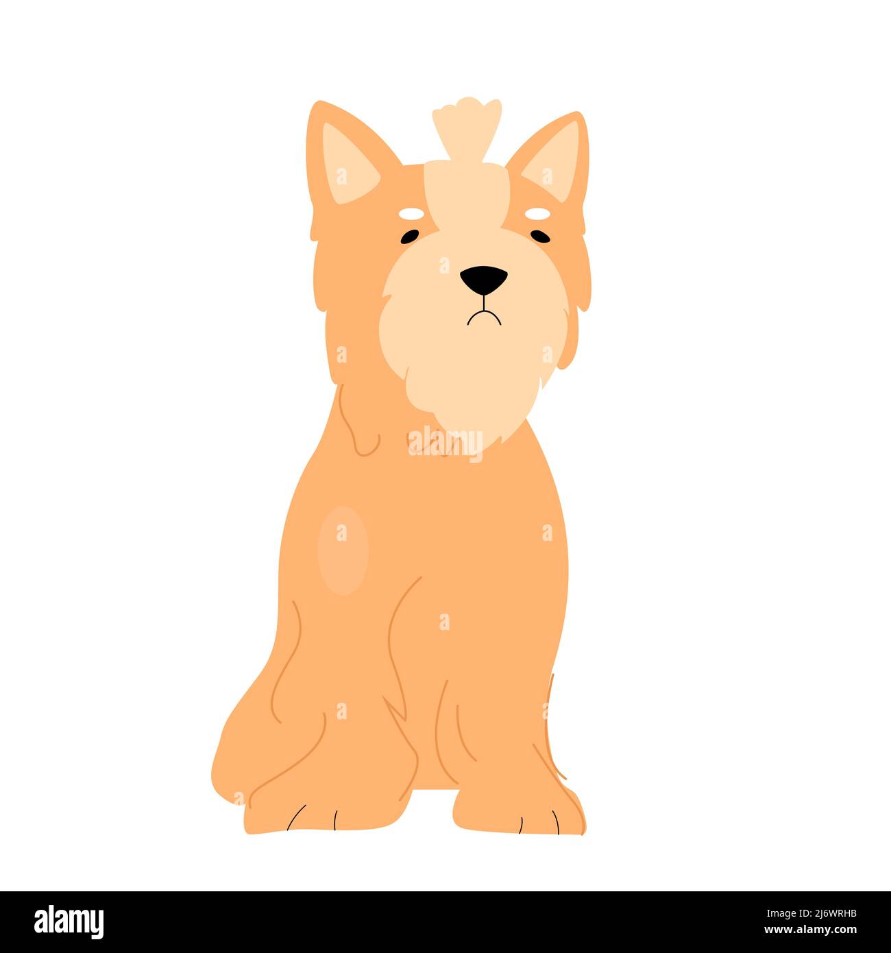 Cute maltese puppy dog. Fluffy adorable pet, domestic doggie friend vector illustration Stock Vector
