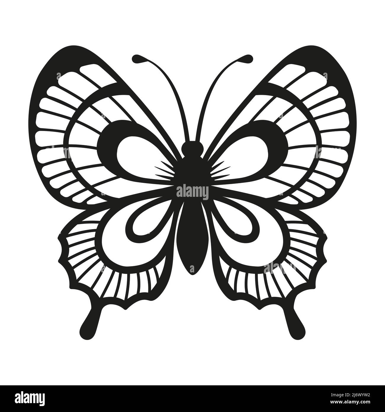 Vector silhouette elegant butterfly isolated on white background Stock Vector