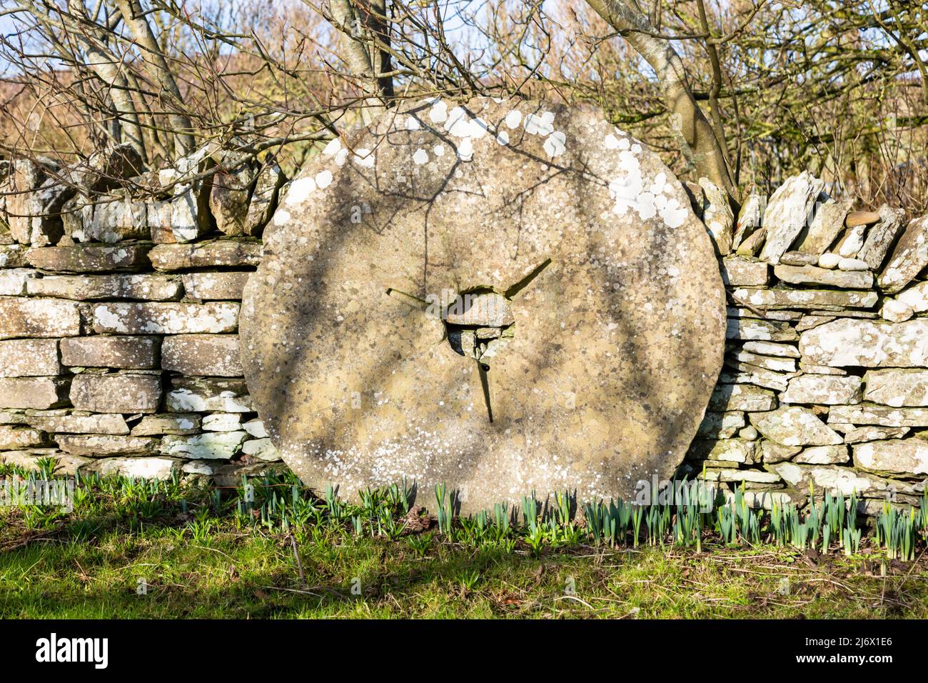 Old stone millstone leaning on a drystone wall, Orkney, UK Stock Photo