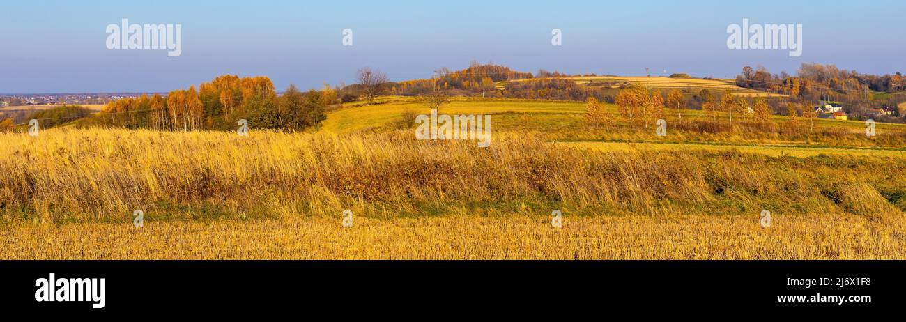 Autumn panoramic view of hills with fields and meadows with mixed forest surrounding Zagorzyce village south Sedziszow Malopolski town in Podkarpacie Stock Photo