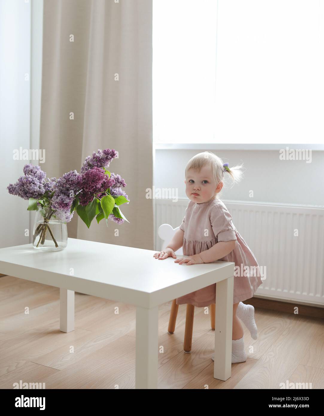 little girl in a pink dress at home with a bouquet of fragrant lilacs ...