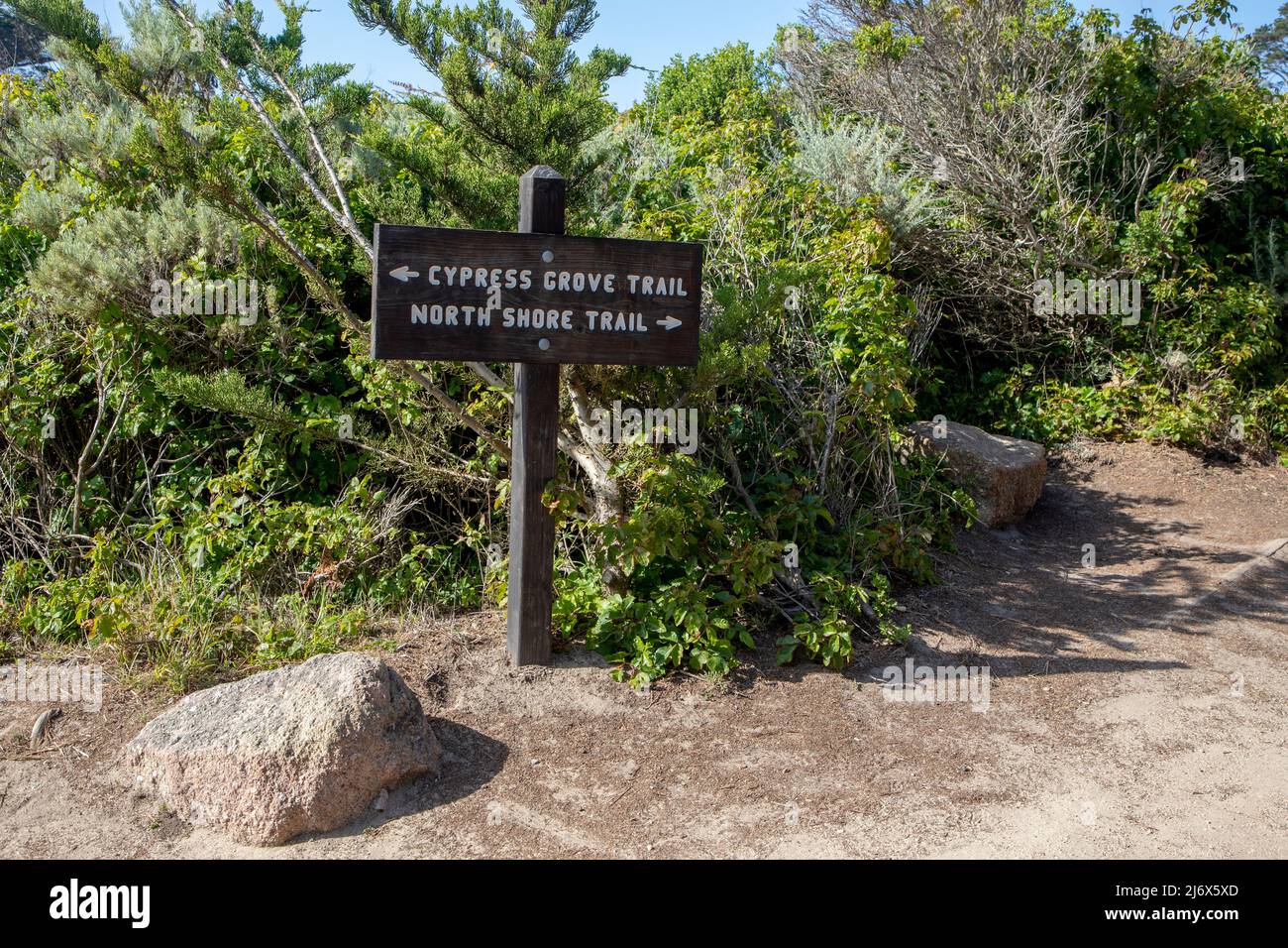 Point Lobos sits just below the town of Carmel on the coast of California. Accessed by Highway 1. Stock Photo