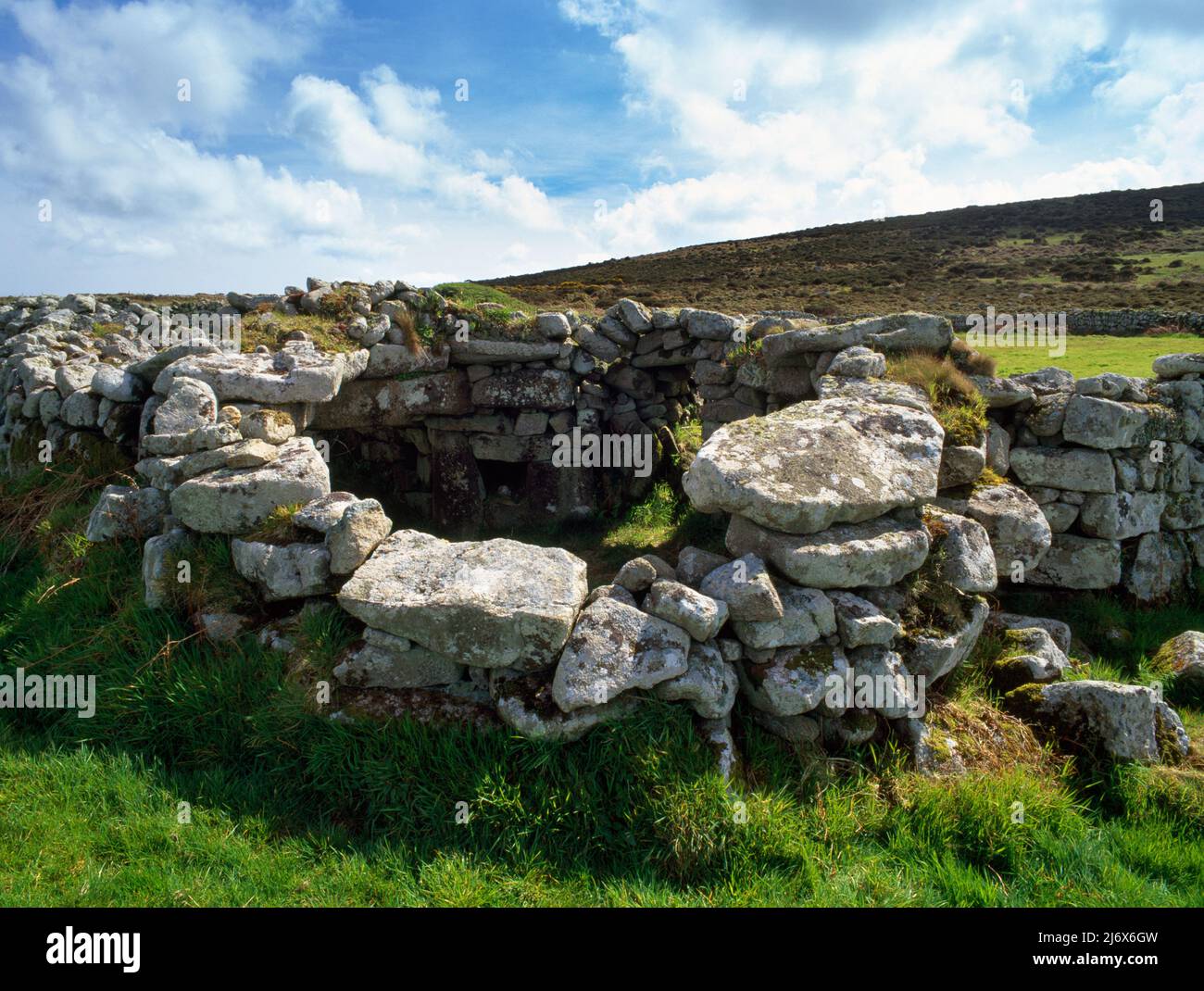 Bosporthennis, Cornwall, England, UK: at NE corner of a high walled, rectangular Medieval field stands the remains of an Iron Age corbelled round hut. Stock Photo