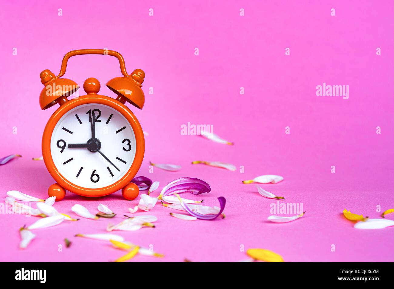 Orange alarm clock isolated on pink background with flower petals. The clock set at 9 o'clock