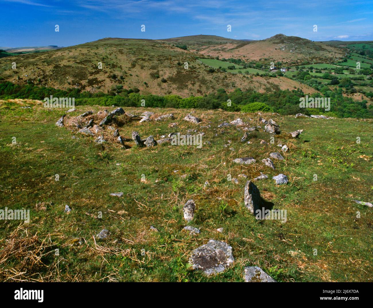 View N of a Bronze Age hut circle & boundary or enclosure wall on Holne Moor, Dartmoor, England, UK, looking over the Dart valley to improved pasture. Stock Photo