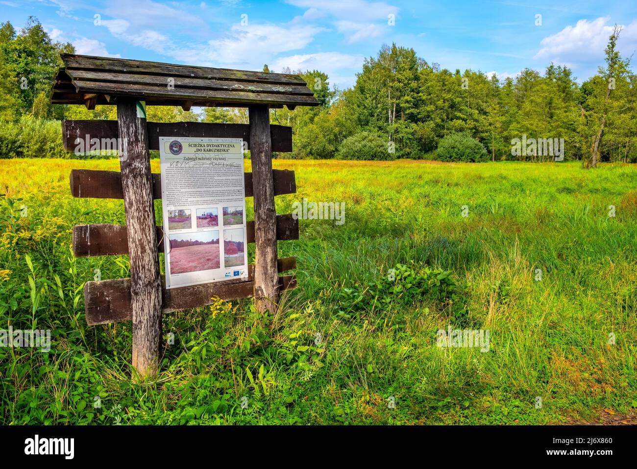 Warsaw, Poland - September 20, 2020: Summer landscape of Puszcza Kampinoska Forest National Park with educational guide board in Truskaw village in Ma Stock Photo