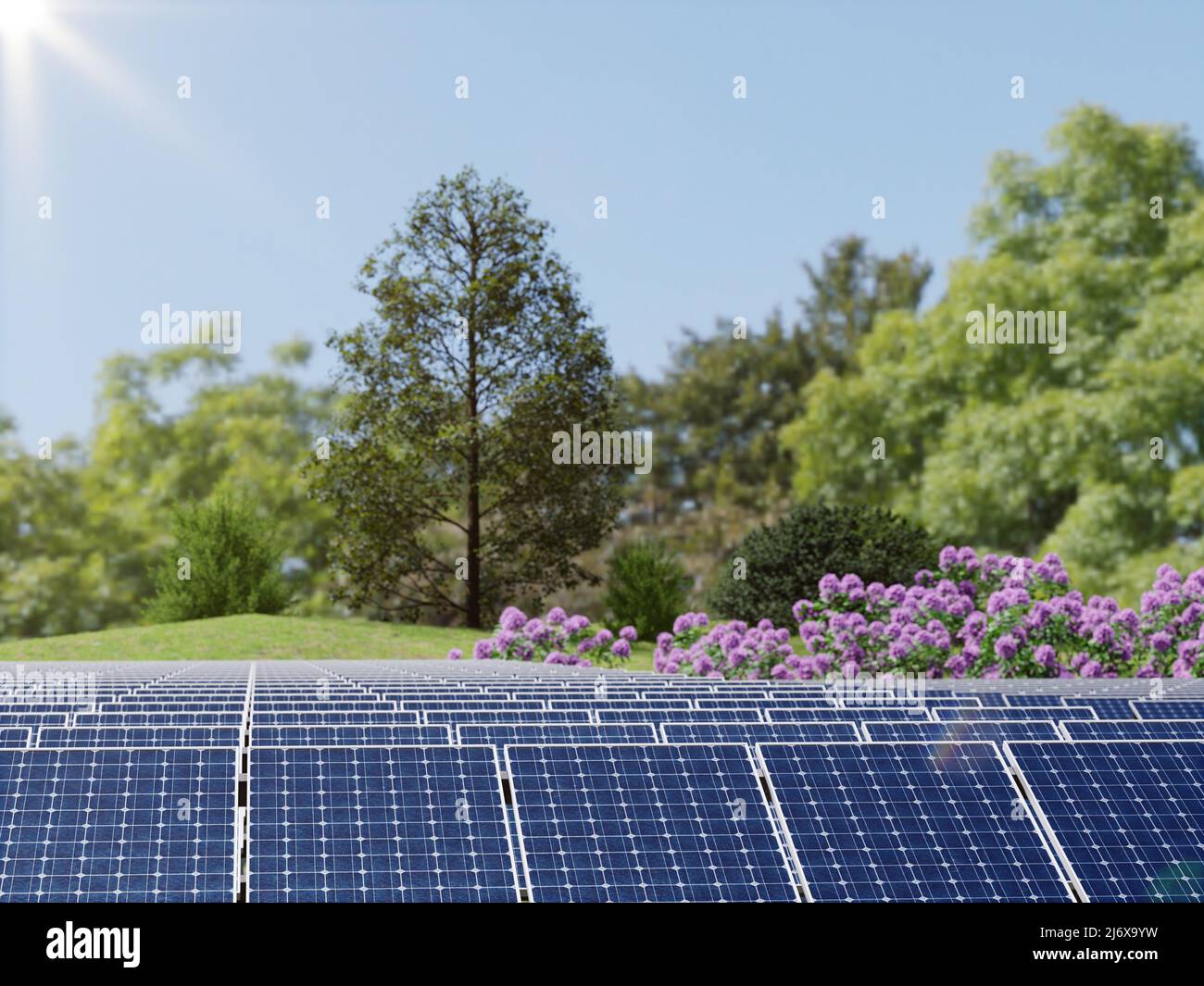 3D rendering of solar farm on sunny day Stock Photo