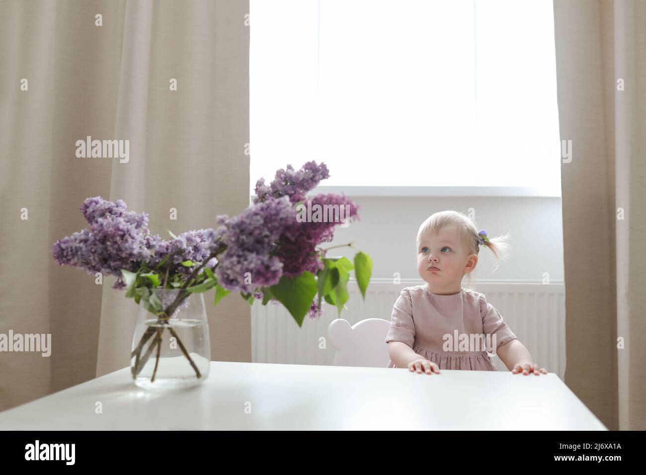 little girl in a pink dress at home with a bouquet of fragrant lilacs ...