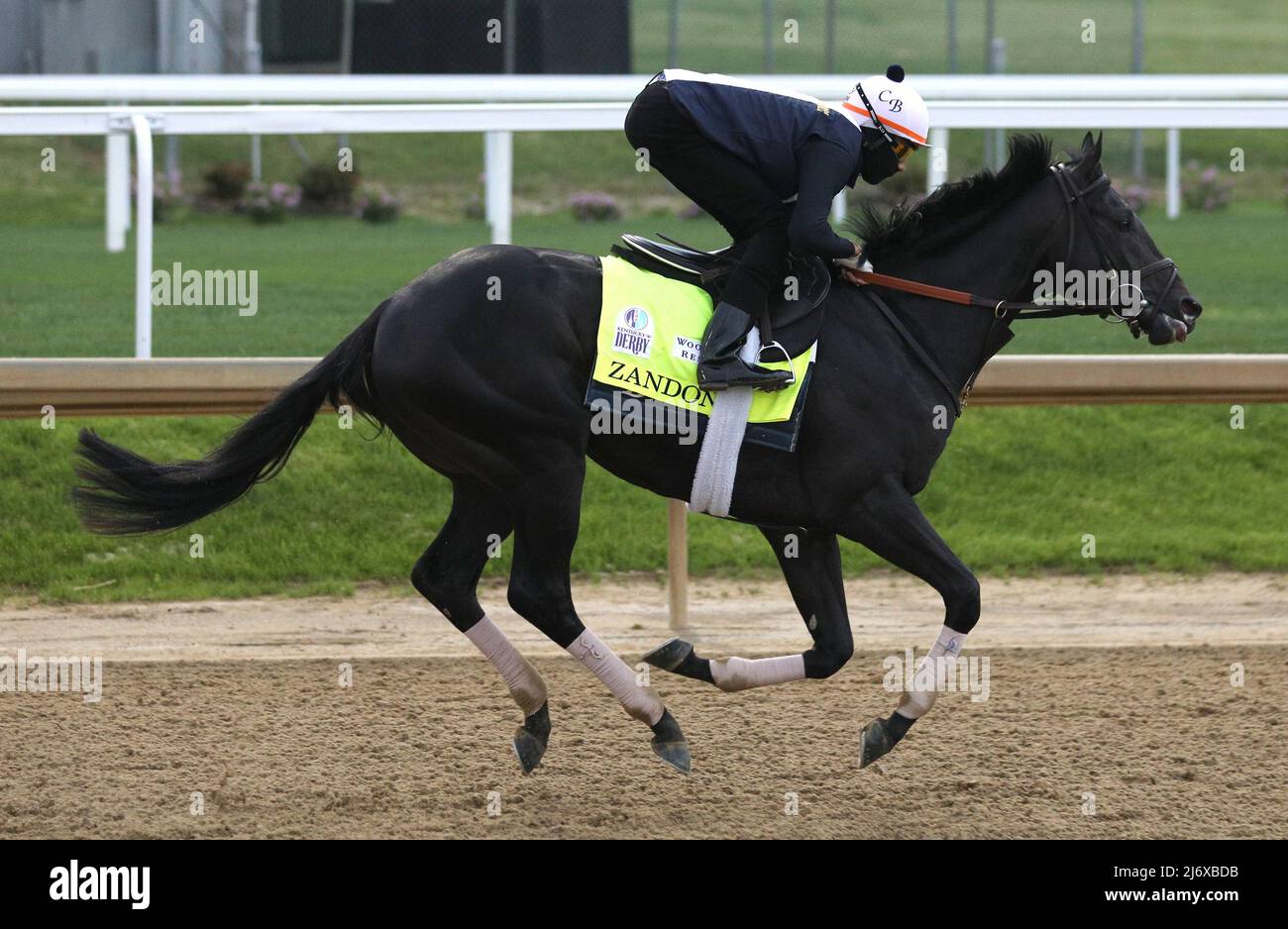 Zandon horse hires stock photography and images Alamy