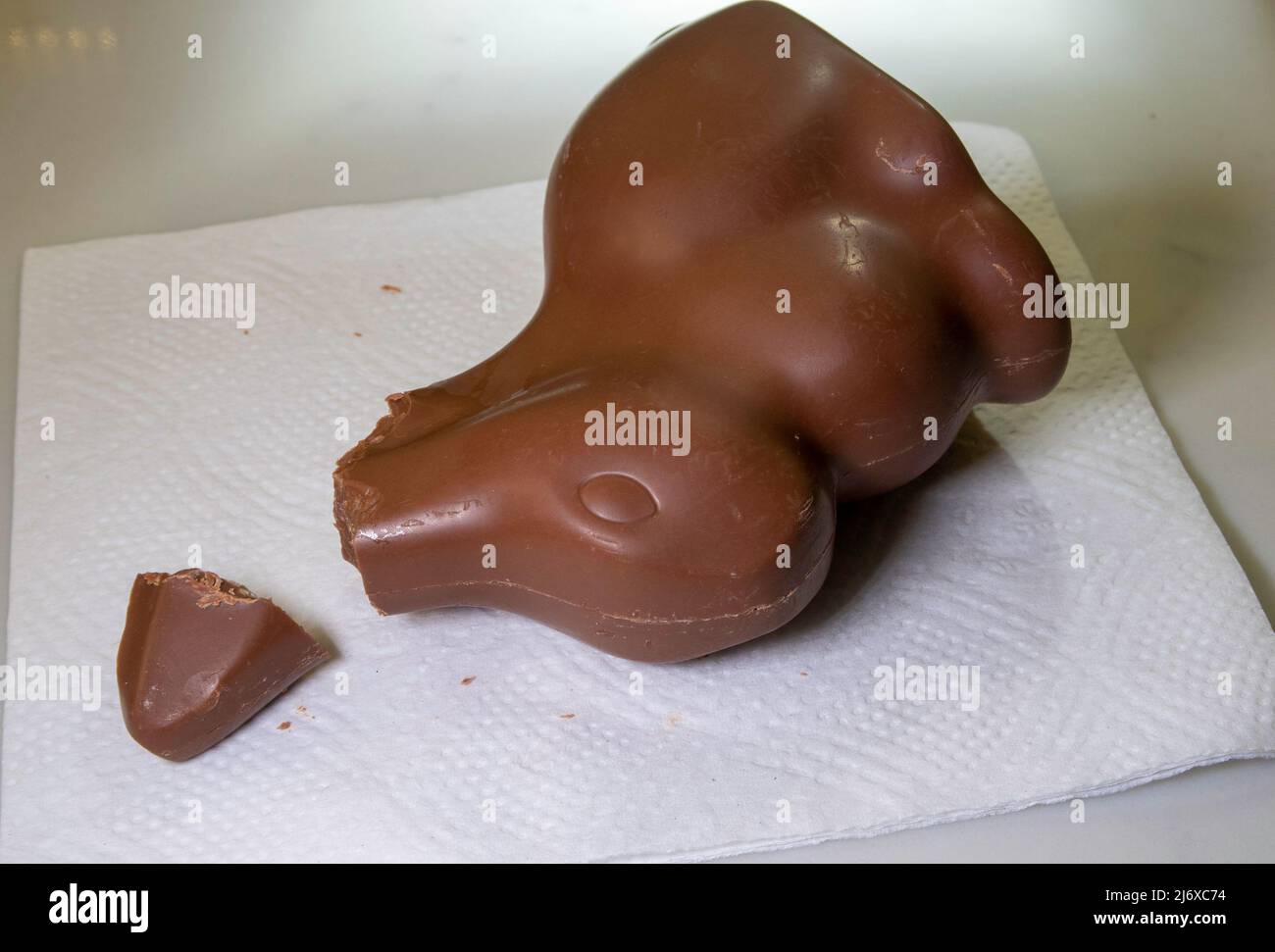 Milk Chocolate Lindt Easter Bunny Candy with Ears Eaten off, 2022, USA Stock Photo