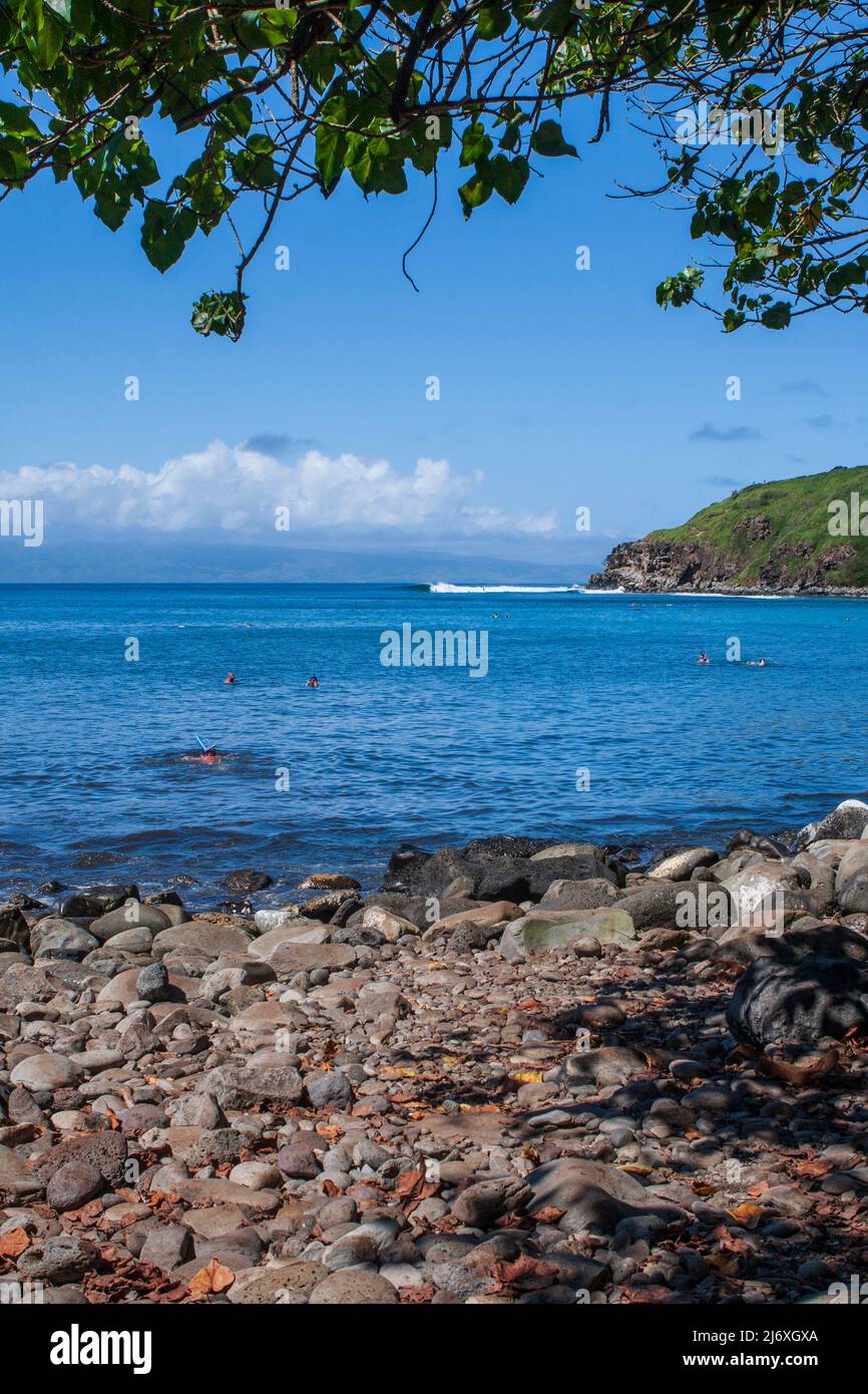 People snorkeling at popular Honolua Bay, Maui, Hawaii, on a bright sunny day, as viewed from the rocky shore. Stock Photo