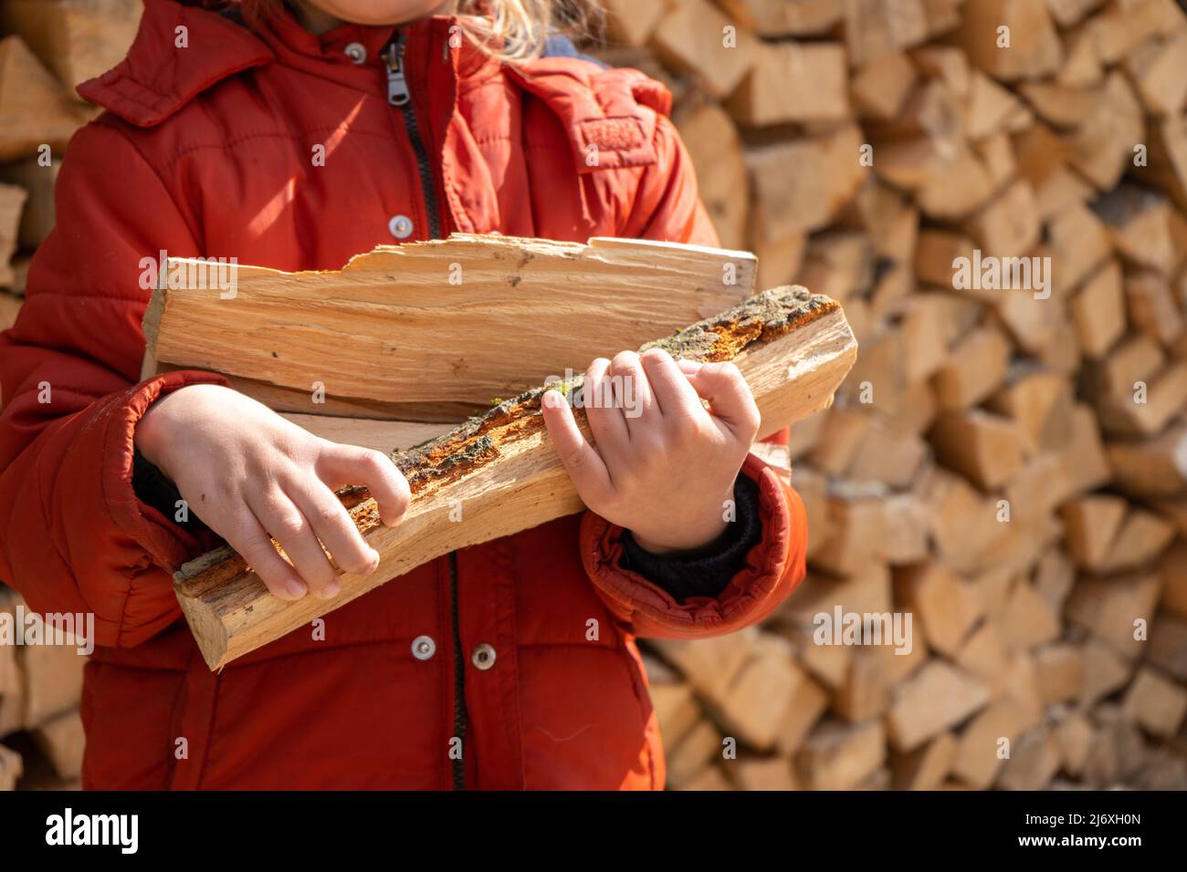 Little girl holds firewood with her hand. Pile of stacked firewood ...