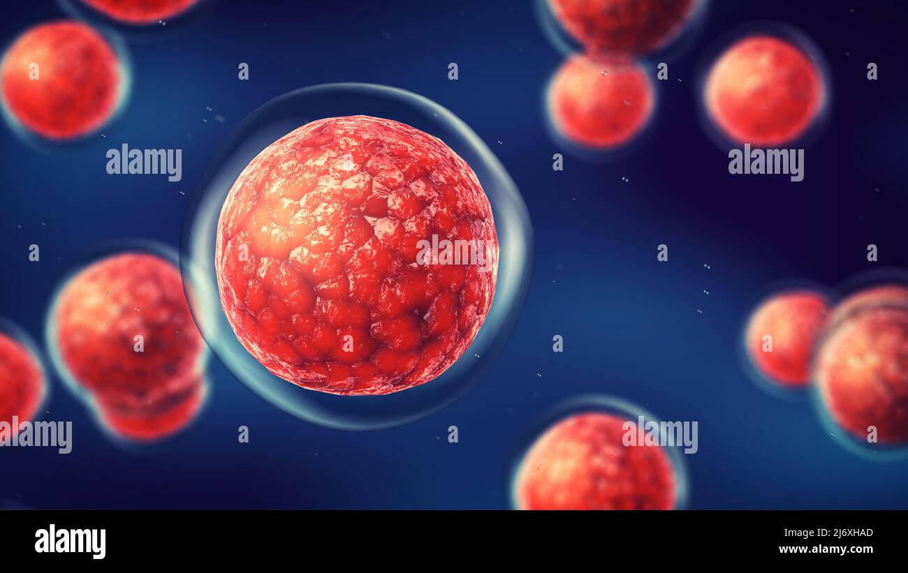 Embryonic stem cells. Repairing damaged cells by reducing inflammation and modulating the immune system. Stem cell therapy concept Stock Photo