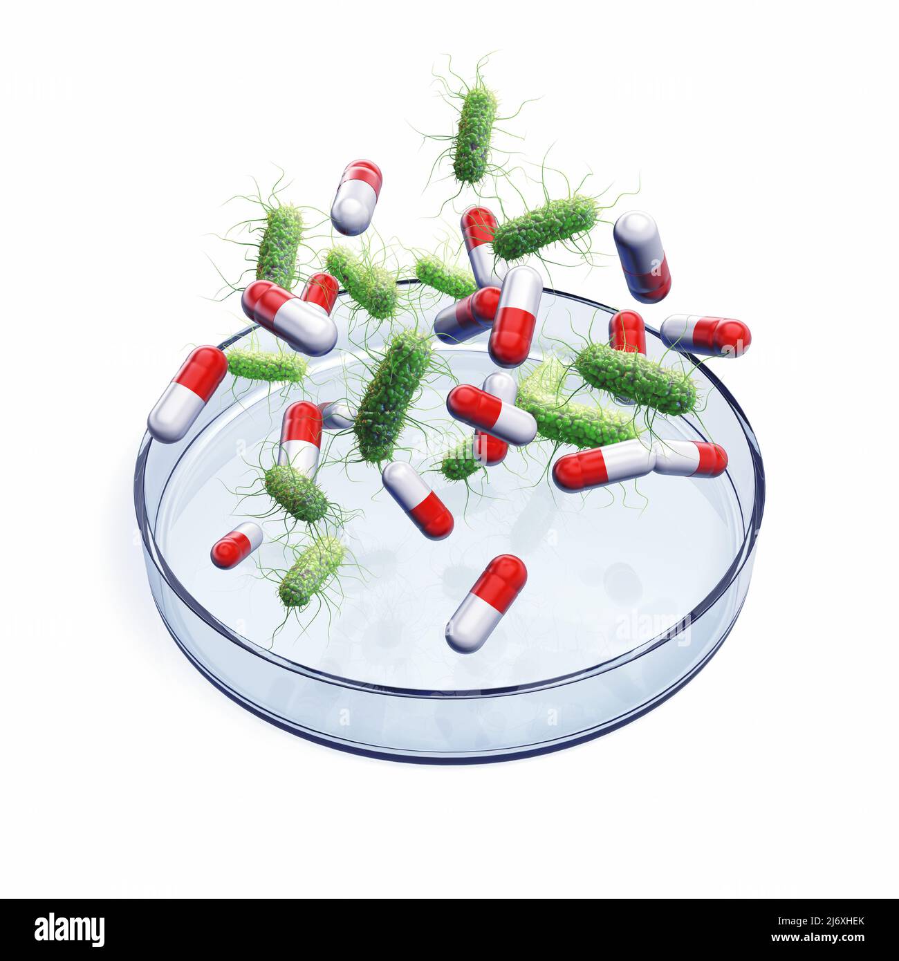 Antimicrobial Resistance (AMR) occurs when bacteria no longer responds to medicines. Bacteria and capsules over petri dish isolated on white Stock Photo