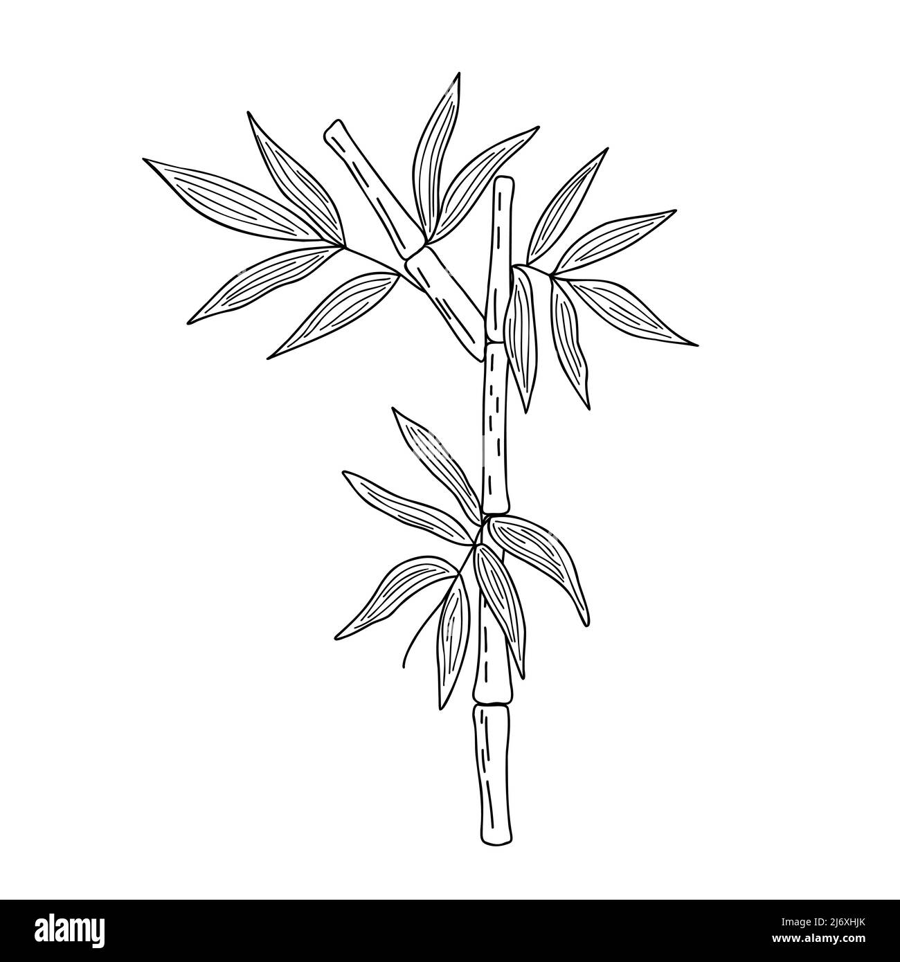Bamboo leaves simple linear style vector illustration, traditional japanese plant, oriental decorative ornament for design, greeting card, template, banner, zen concept Stock Vector