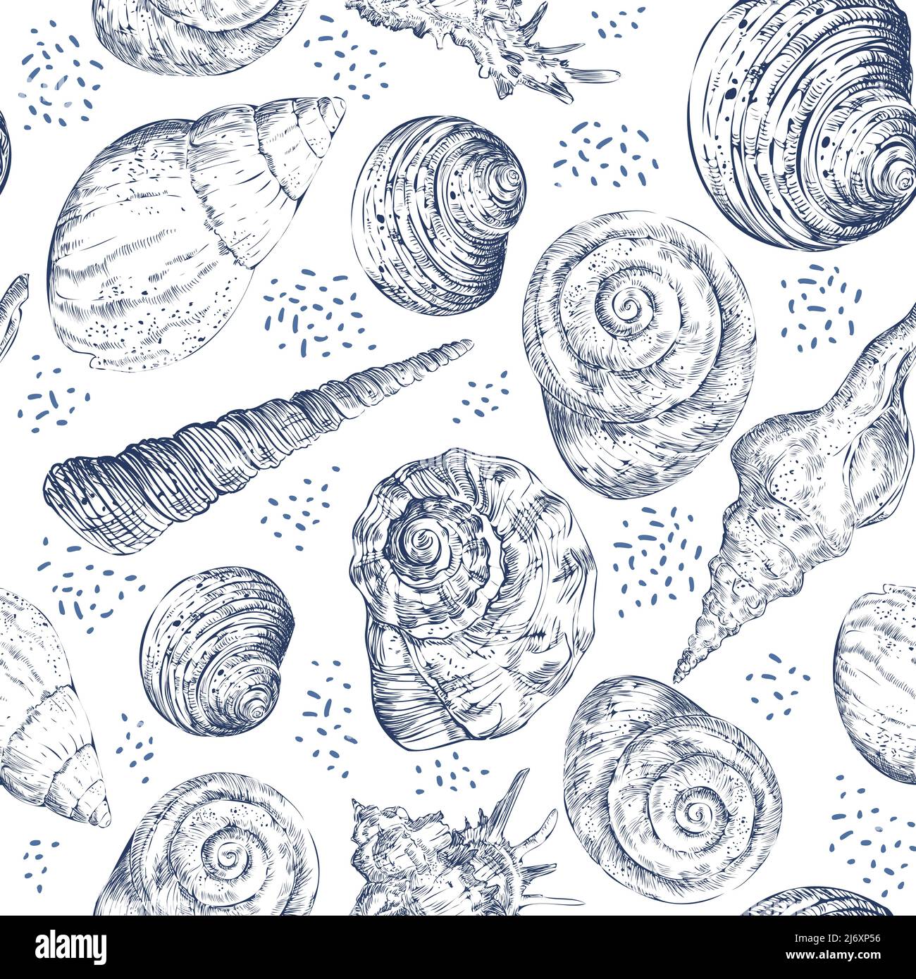 Seamless pattern of navy seashells on white background. Marine backdrop ...