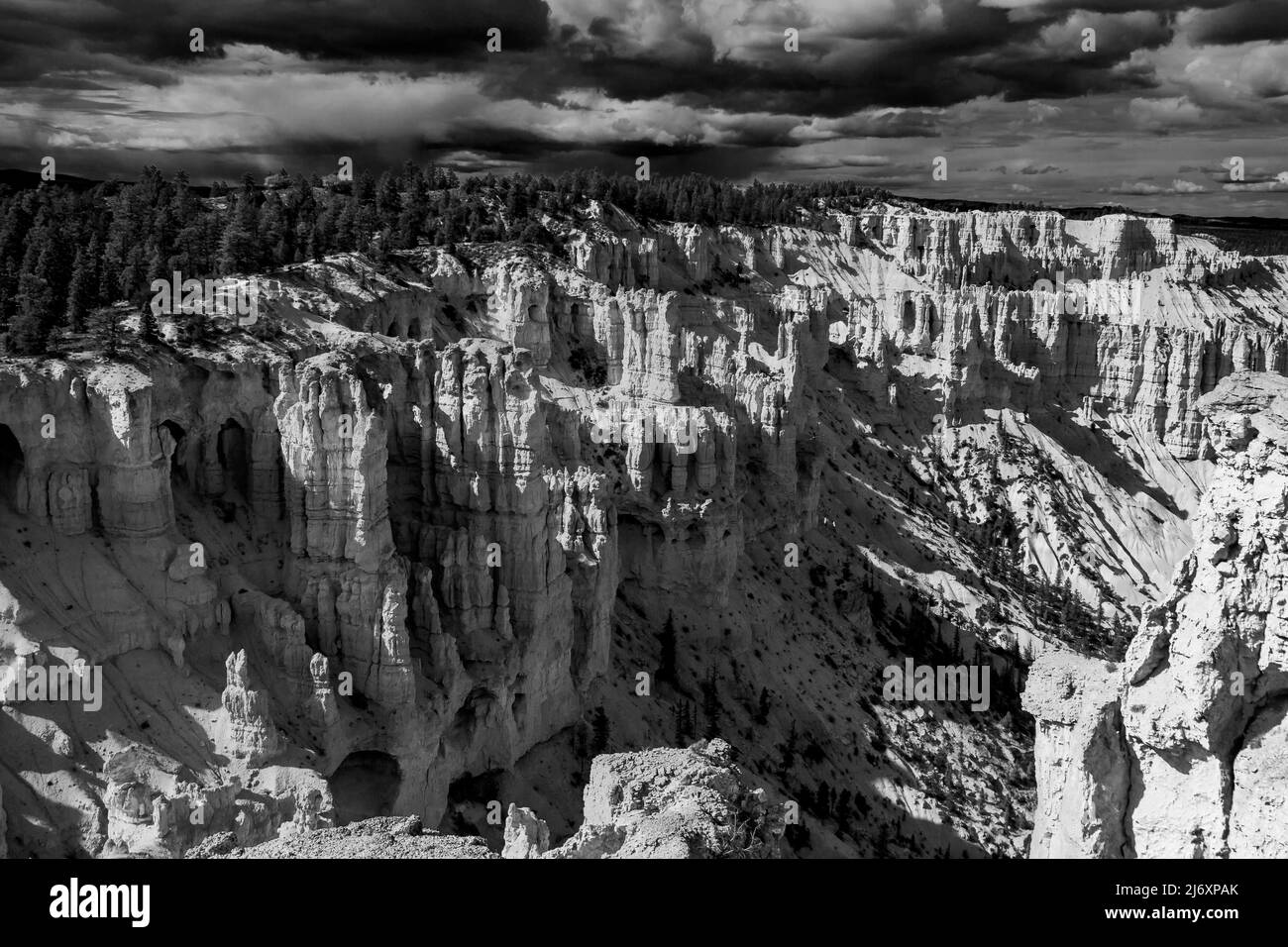 A monochrome view over Bryce Canyon National Park Utah from the Rim Trail, Stock Photo