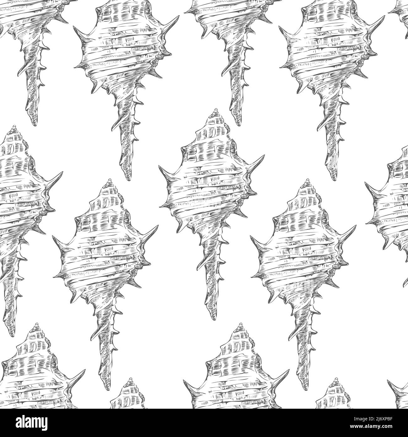 Seamless pattern of gray seashells on white background. Marine backdrop ...