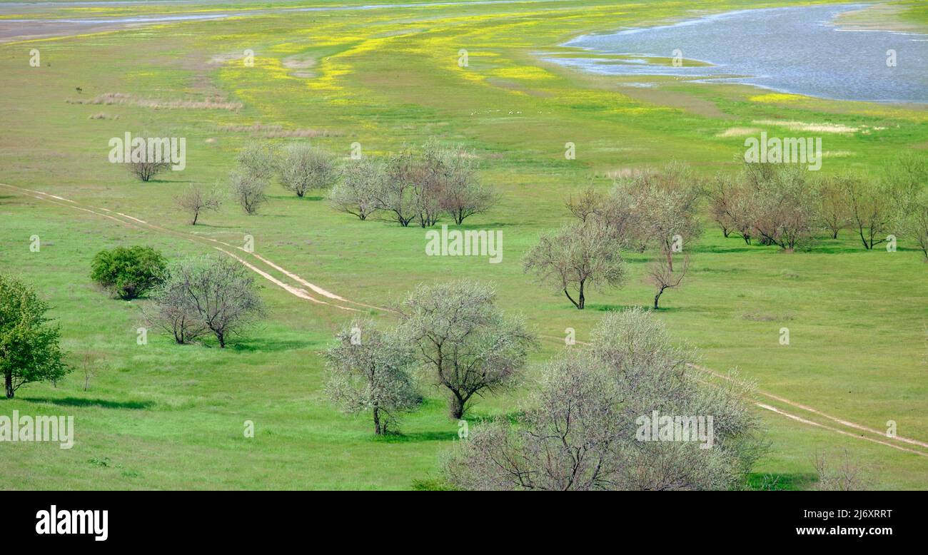 beautiful landscape of nature in spring or summer with road, water and green field Stock Photo