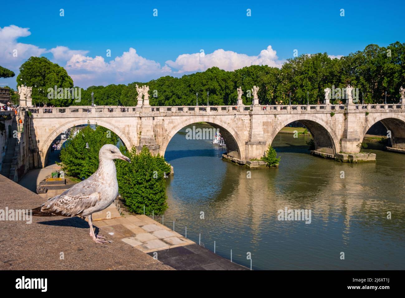 Rome, Italy - May 25, 2018: Ponte Sant'Angelo, Saint Angel Bridge, known as Aelian Bridge or Pons Aelius over Tiber river with gull bird in historic c Stock Photo