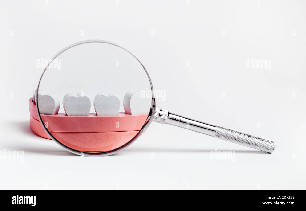 Jaw model with magnifying glass. Kids teeth checkup concept. Dental