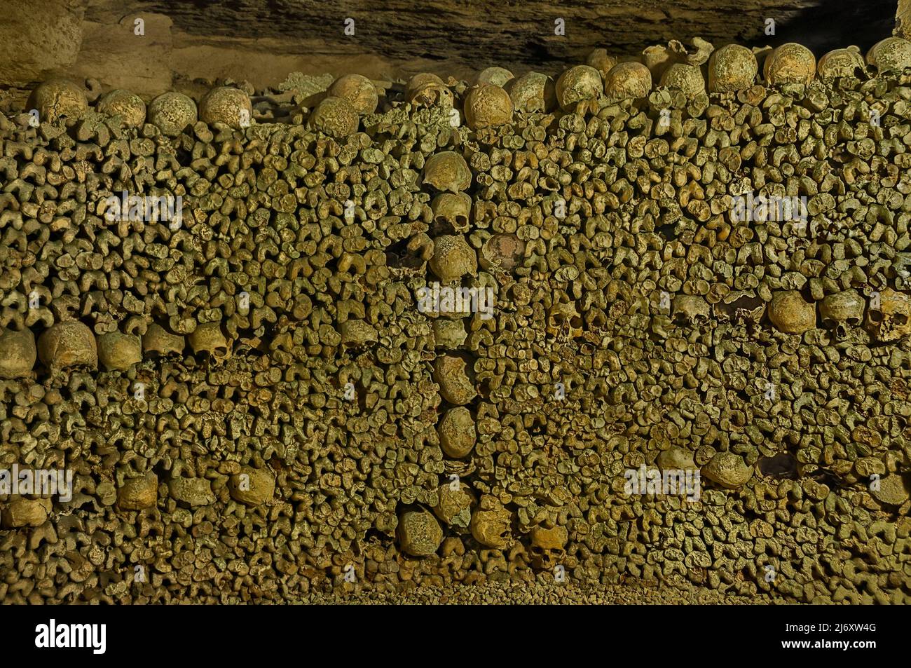 Craniums and fibulas arranged on a wall in the Catacombs, a network of former limestone mines under place Denfert-Rochereau. Stock Photo