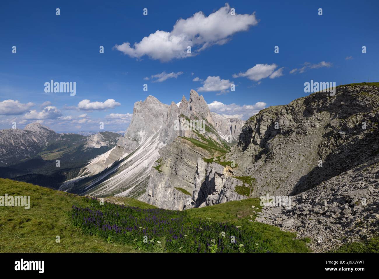 A green meadow leading a scenic view of the Odle mountain range, as seen from Seceda plateau Stock Photo