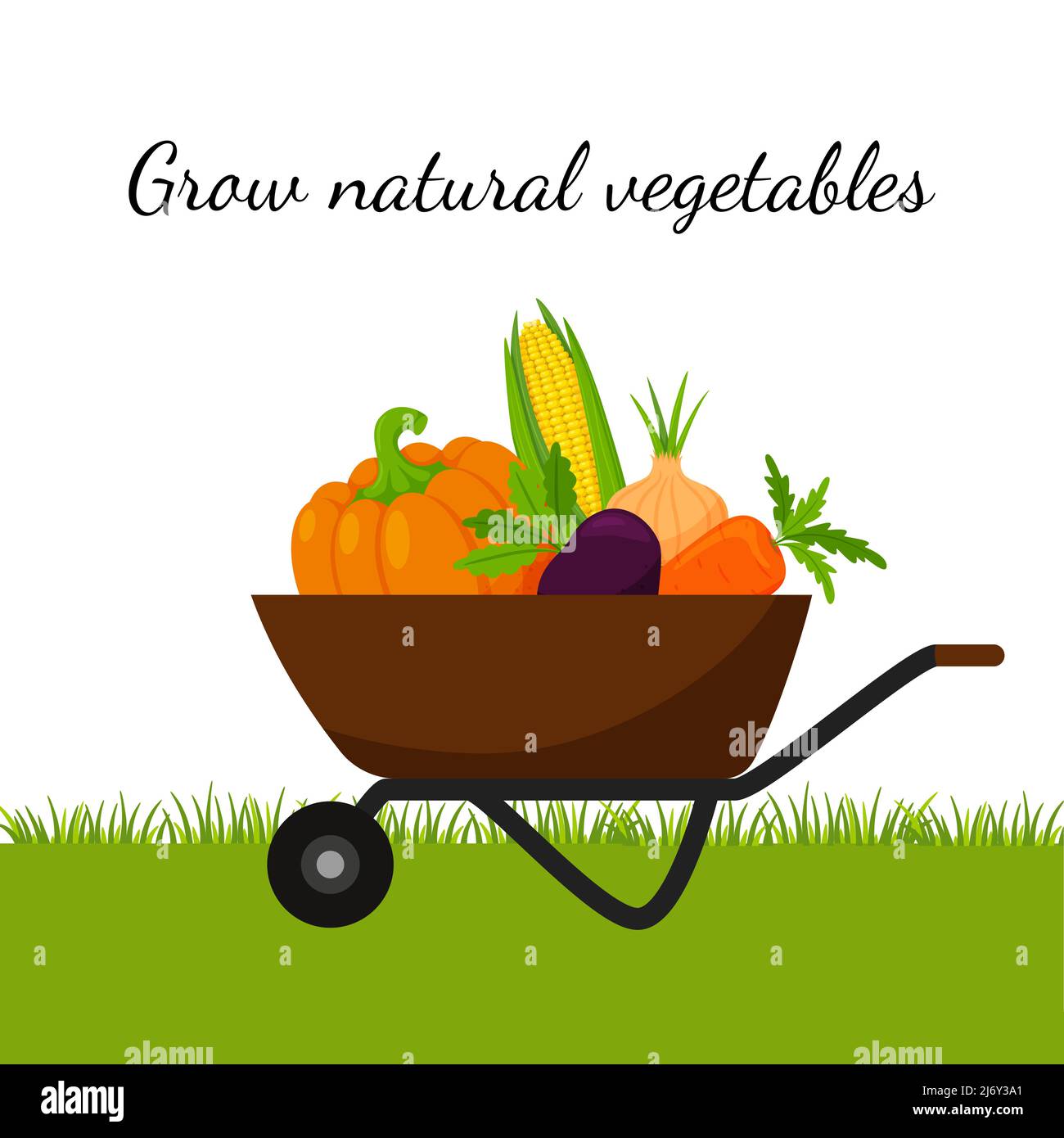 Growing pumpkin in corn Stock Vector Images - Alamy