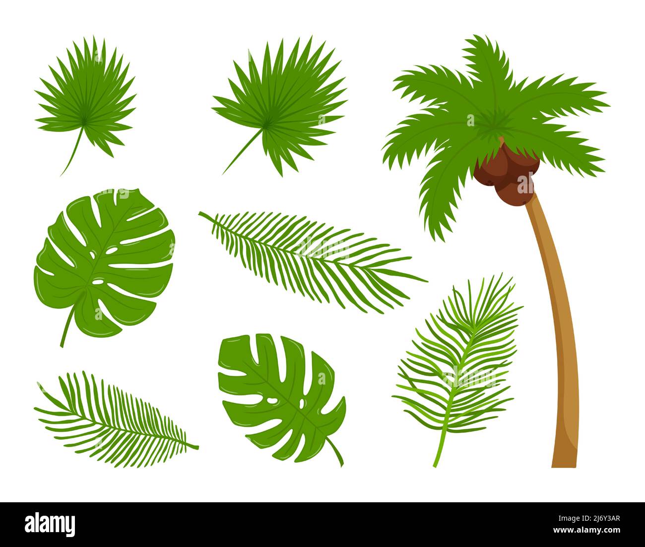 Collection of different botanical, tropical leaves, coconut palm. Design elements on the theme of summer, tropics, vacation. Bright color vector illus Stock Vector