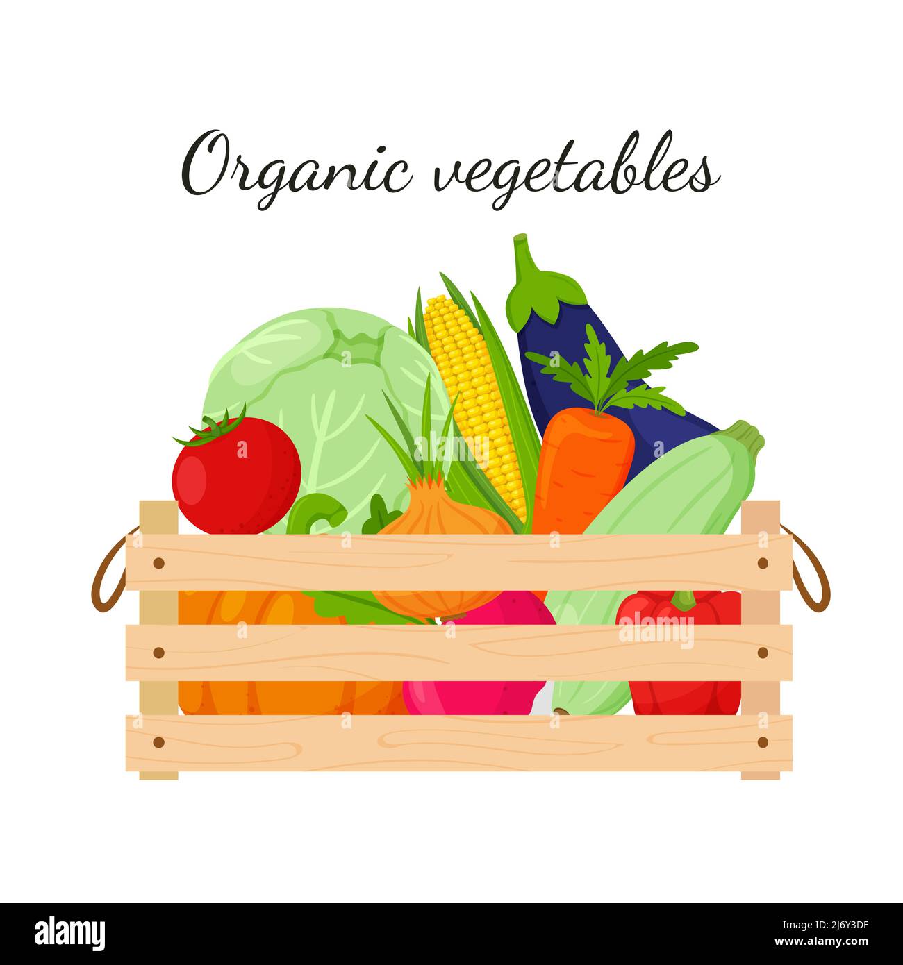 A wooden box full of vegetables, pumpkin, corn, carrots, beets, eggplant, zucchini, cabbage. Natural, organic food. The concept of growing your own ve Stock Vector