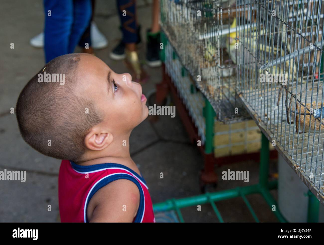 January 9, 2016 - Havana, Cuba: A young boy looks into a bird cage on a street in Havana.  (Liz Roll) Stock Photo