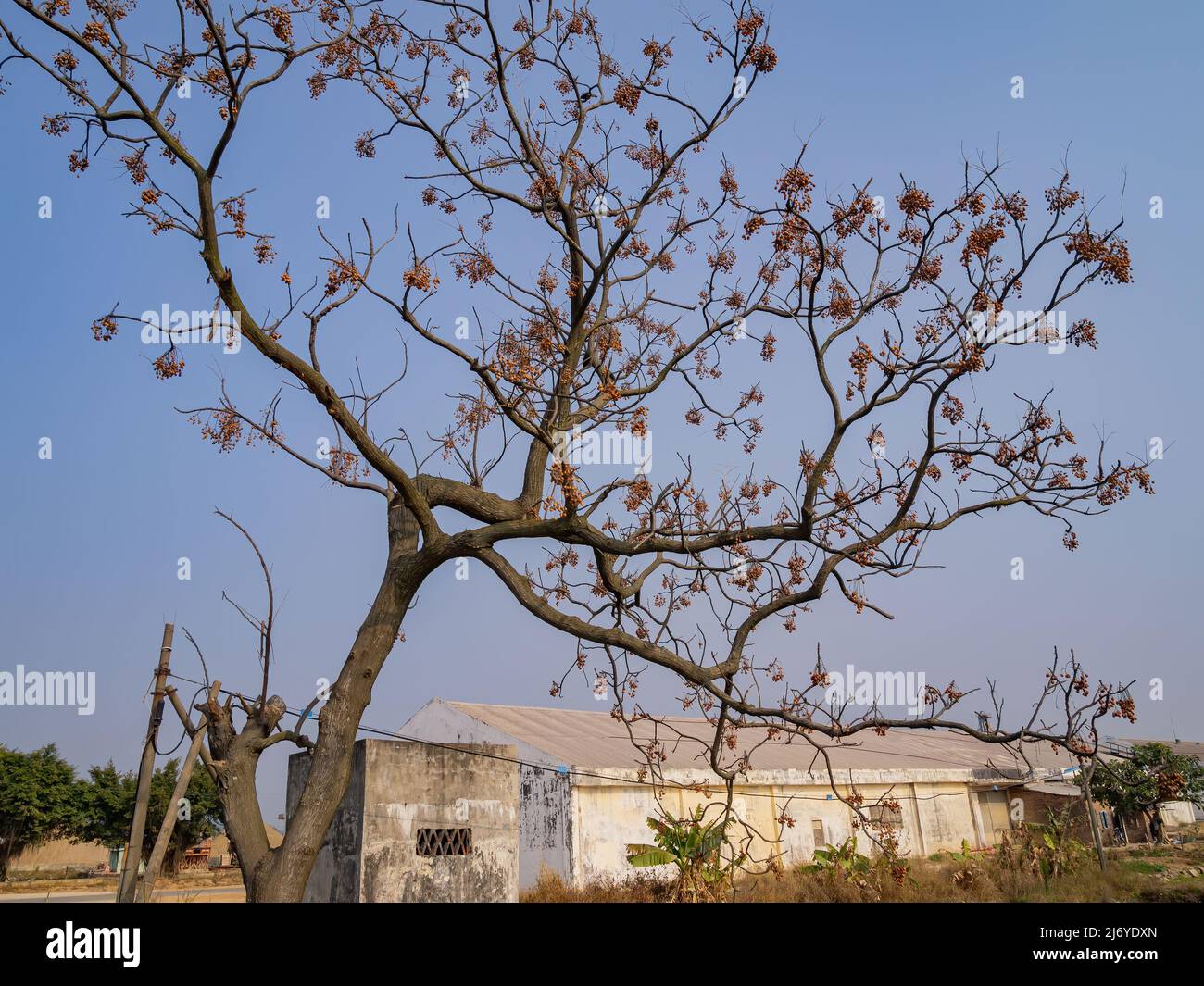 Rural china hi-res stock photography and images - Alamy