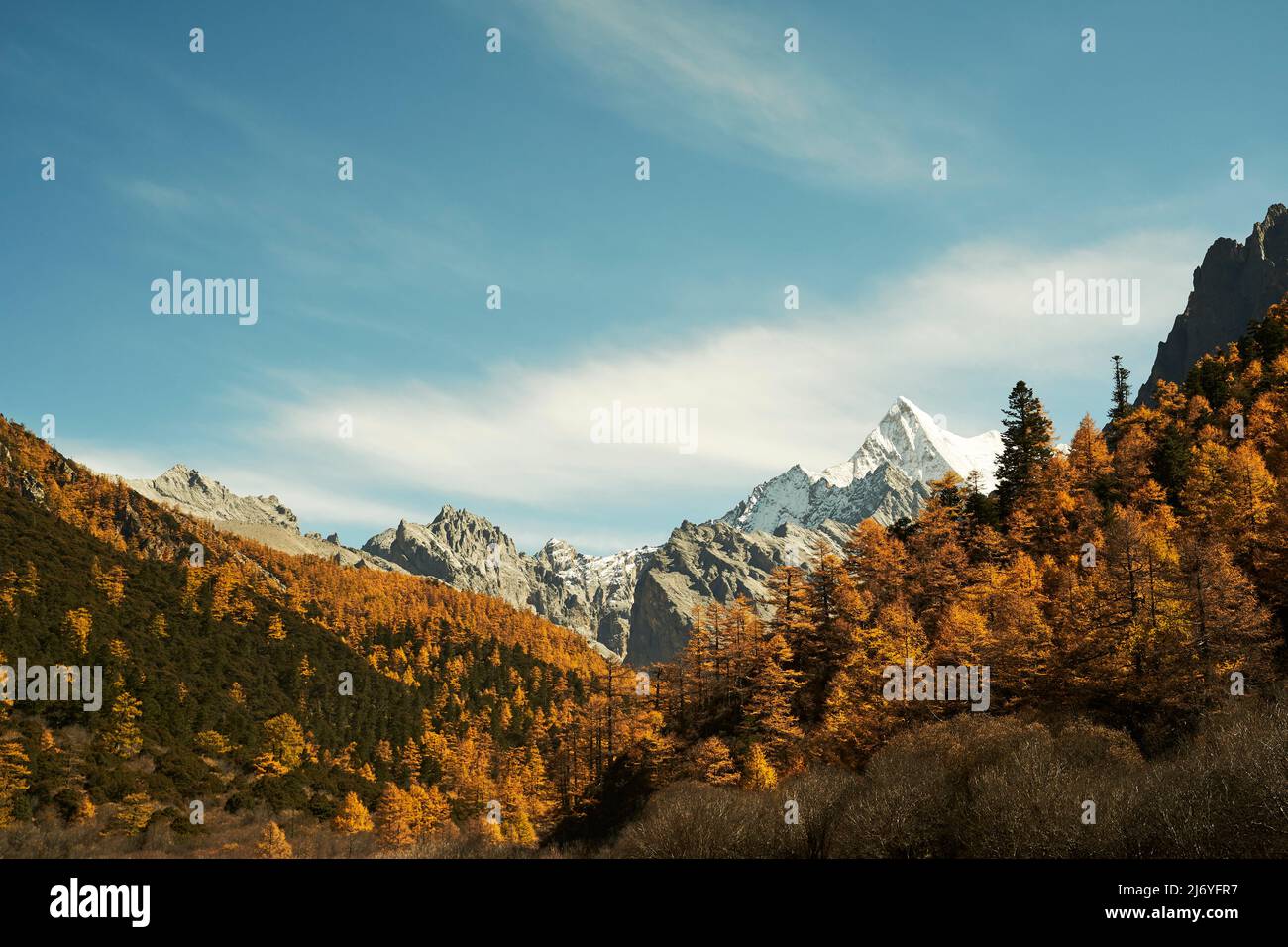 mountain range and autumn foliage in yading national park, daocheng county, sichuan province, china Stock Photo