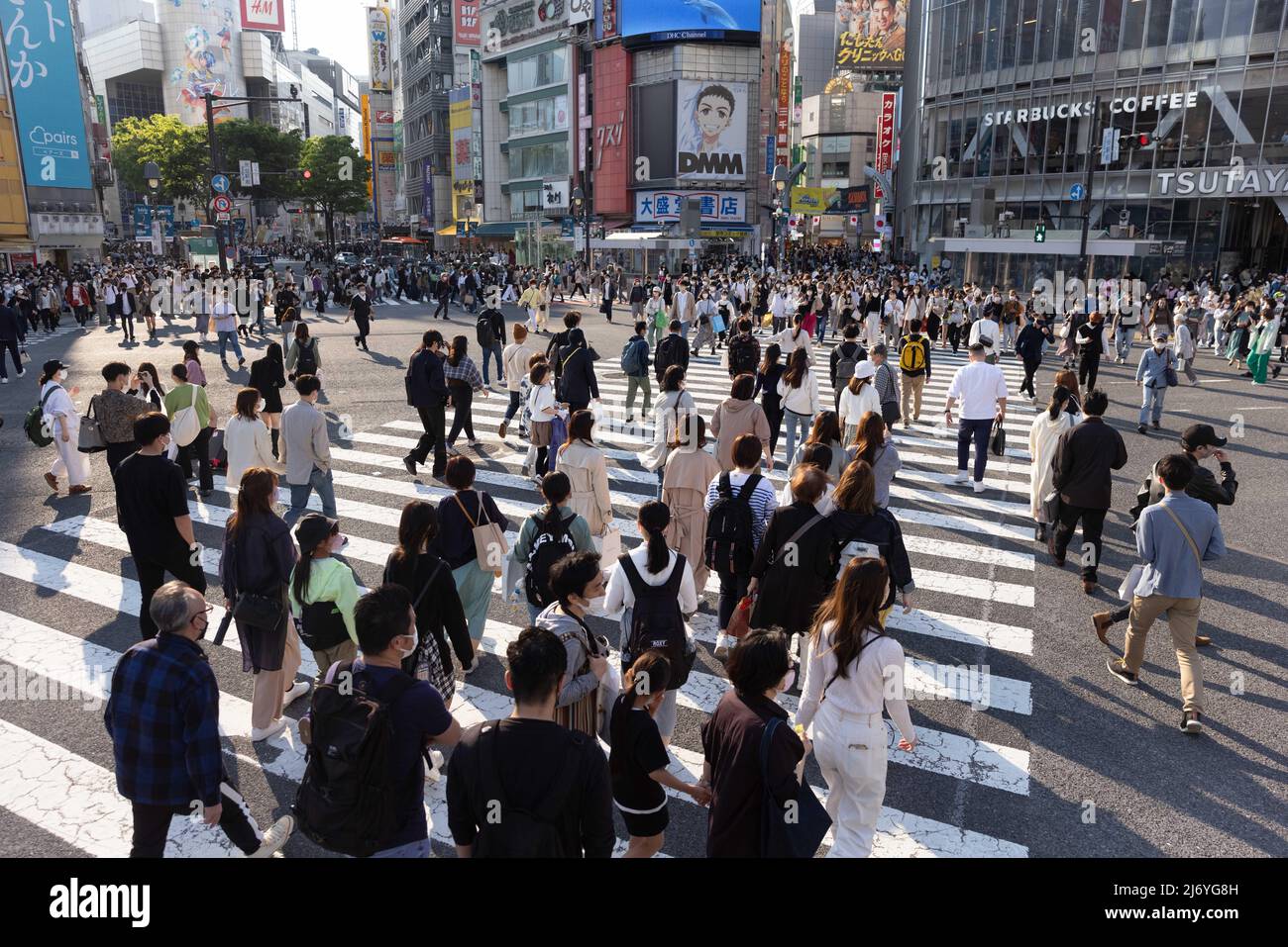 Four seasons in one photo hires stock photography and images Alamy