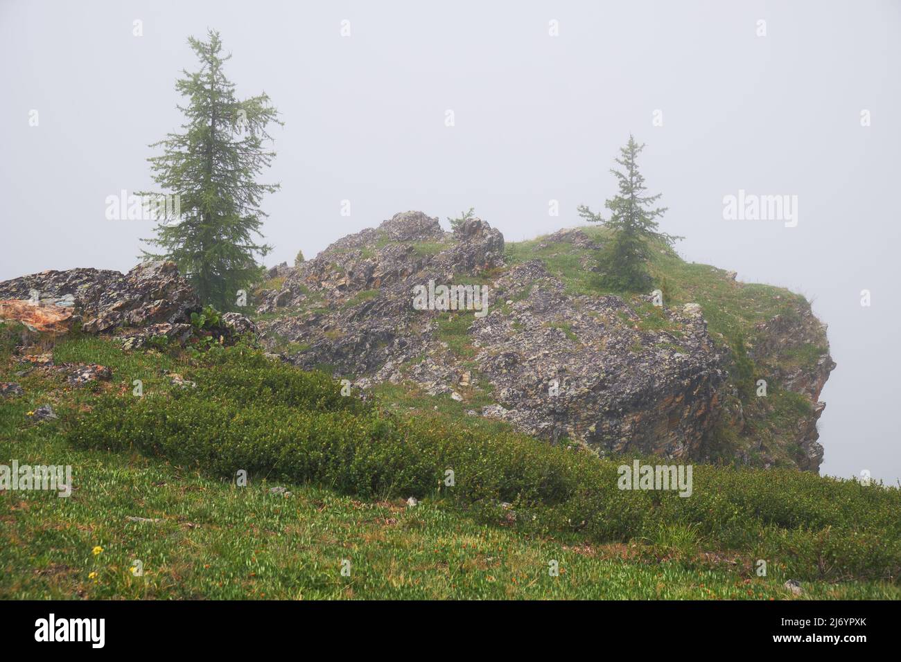 Morning fog in mountains. Altai, Siberia. Stock Photo
