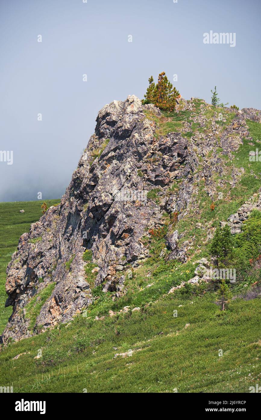 Lonely stone cliff on the mountainside. At the top grows a cedar tree. Seminsky mountain range in Altai, Siberia. Stock Photo