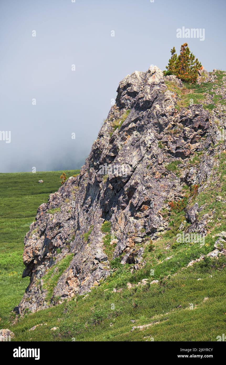 Lonely stone cliff on the mountainside. At the top grows a cedar tree. Seminsky mountain range in Altai, Siberia. Stock Photo