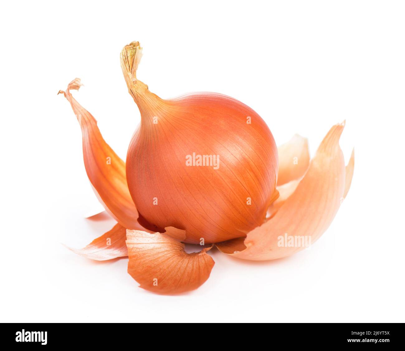 yellow onion isolated on white background Stock Photo - Alamy