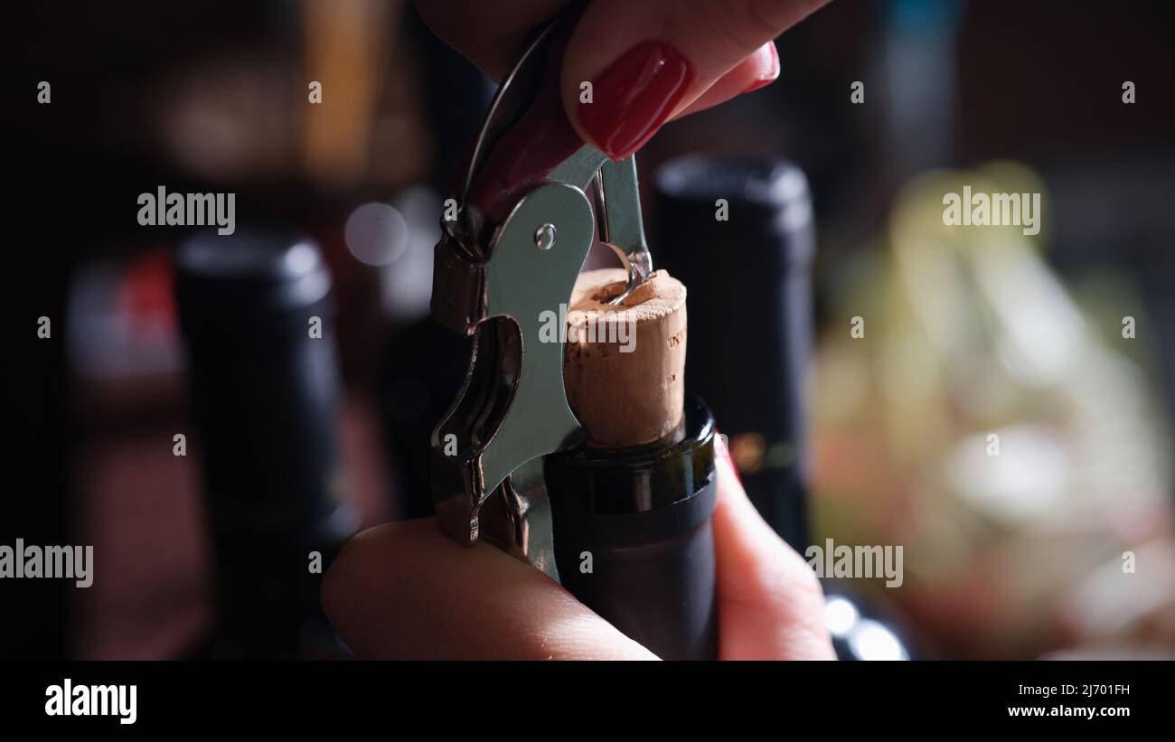 Bottle of red wine with corkscrew cap and open spiral is opened by woman Stock Photo