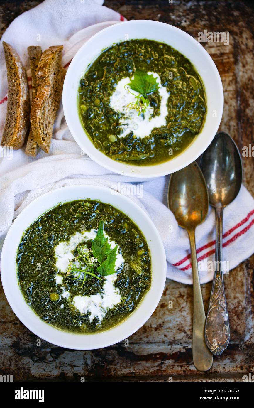 Spinach and swiss chard soup. Green goddess soup Stock Photo