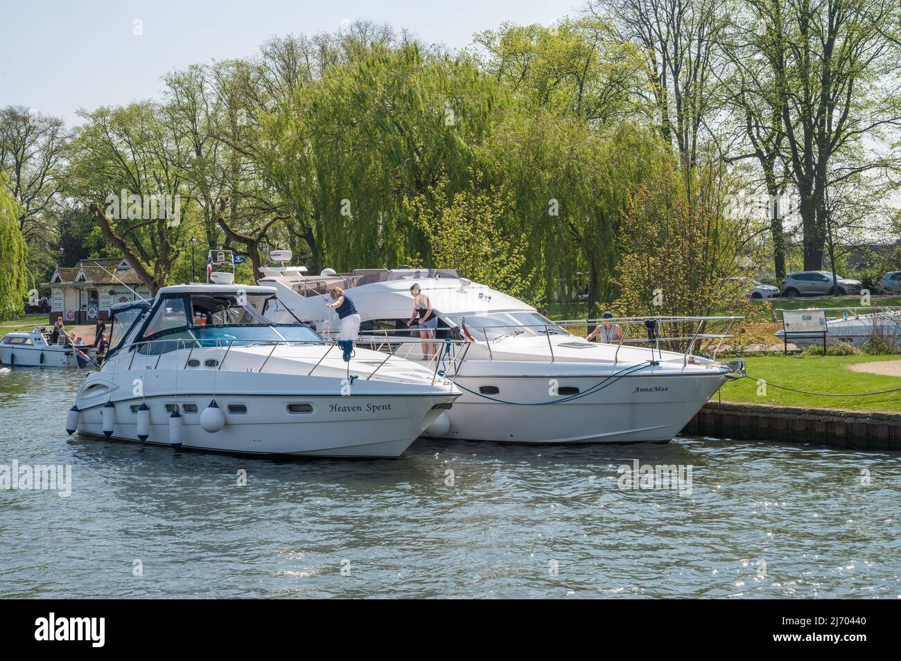 Two large and one small cabin cruiser boats moored bankside on the River Thames, Windsor, England, UK. Stock Photo