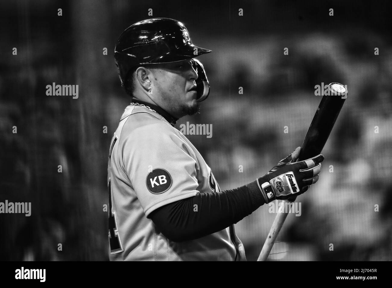 Detroit Tigers first baseman Miguel Cabrera (24) studies his bat as he waits on the on deck circle during a MLB baseball game against the Los Angeles Stock Photo