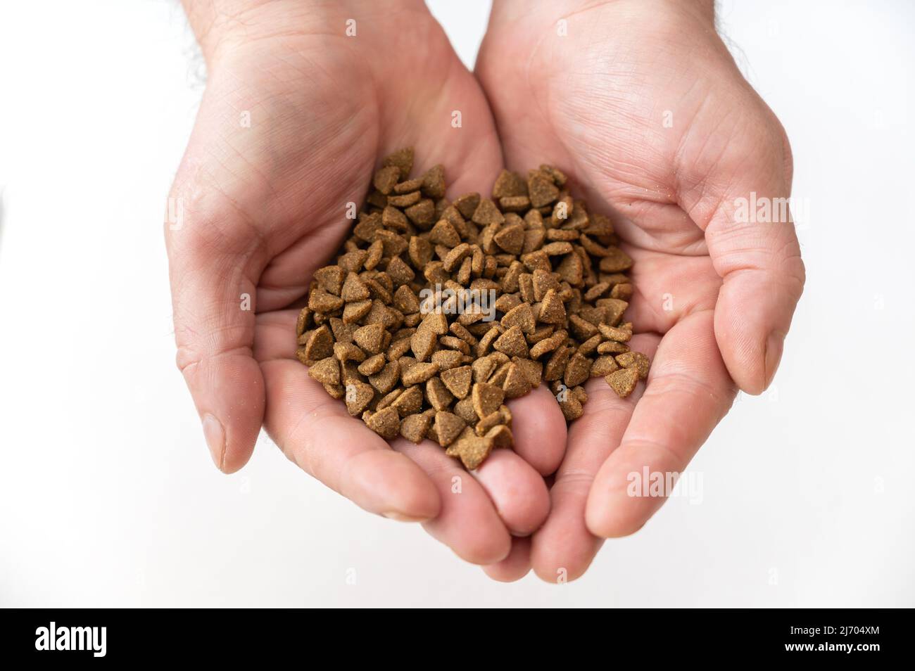 Pet food in open male palms against a white background. Adult Male ...