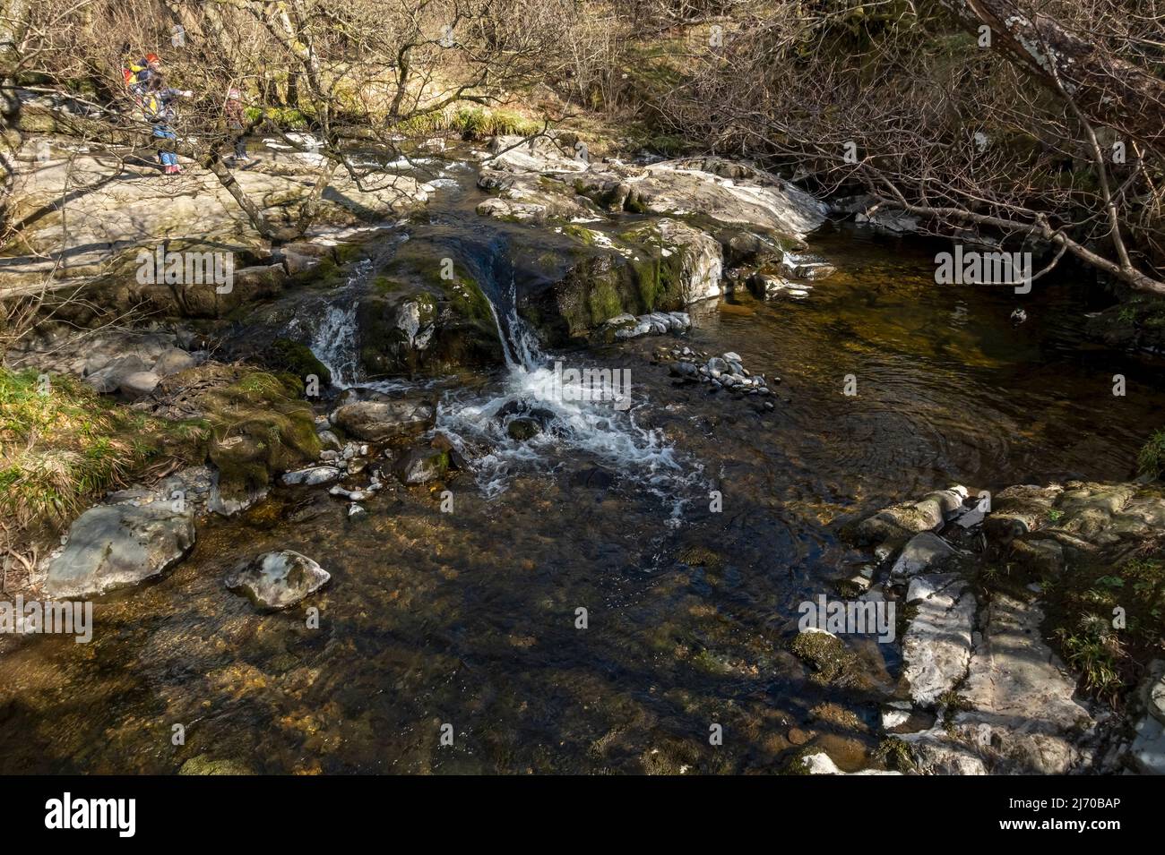 Aira Beck flowing down to to Aira Force near Ullswater Lake District National Park Cumbria England UK United Kingdom GB Great Britain Stock Photo