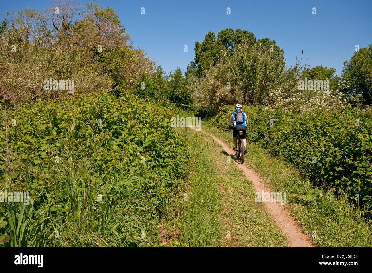 Biking on the path along Aniene river, Aniene Valley Nature Reserve, Rome, Lazio, Italy Stock Photo