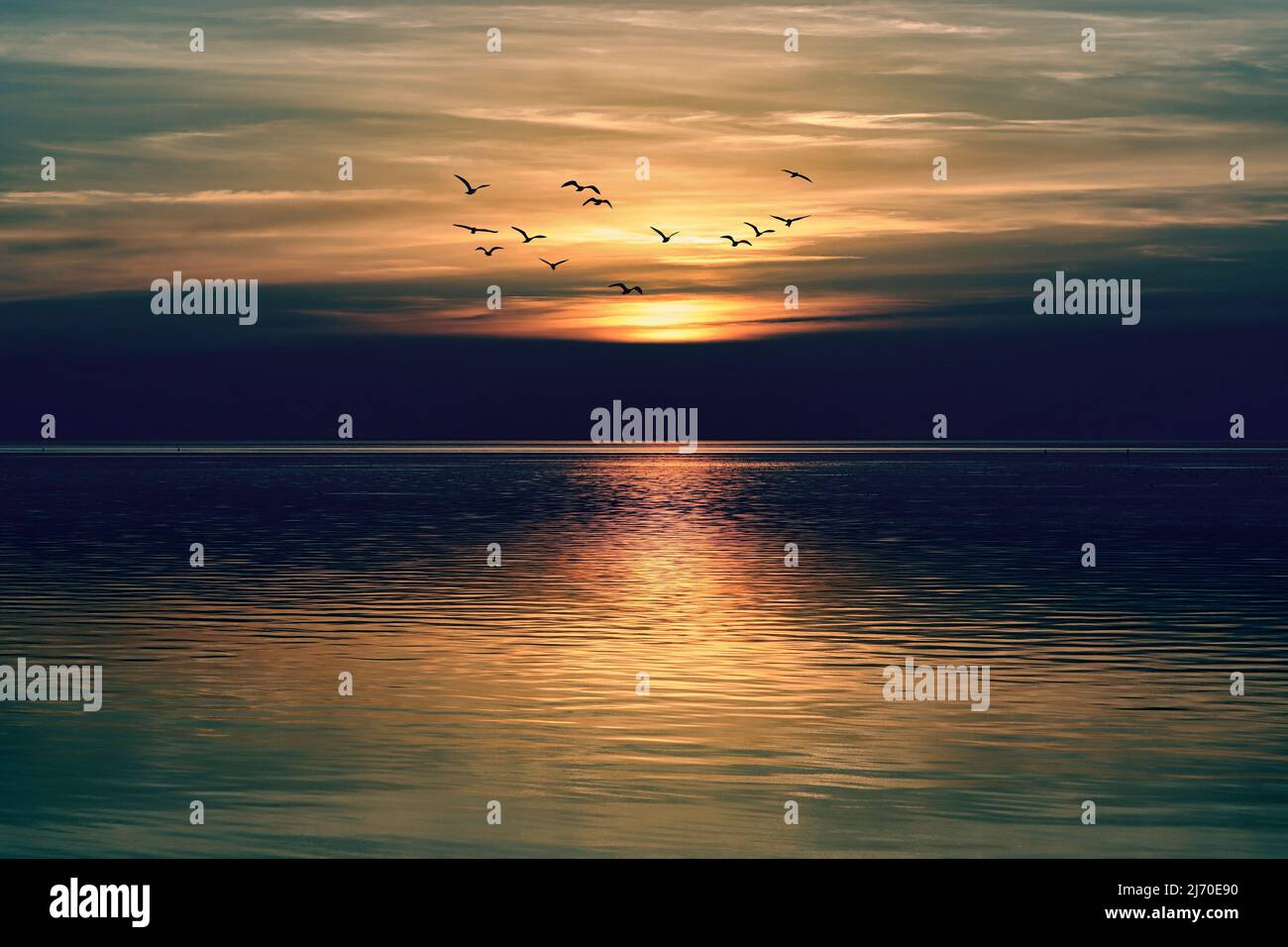 Dramatic sunset over calm sea with flying birds Stock Photo