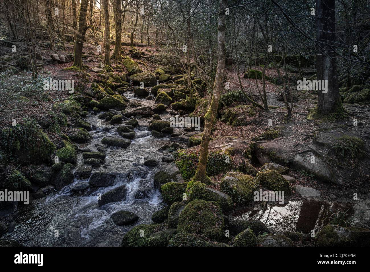The River Kennall flowing through the Kennall Vale nature reserve in