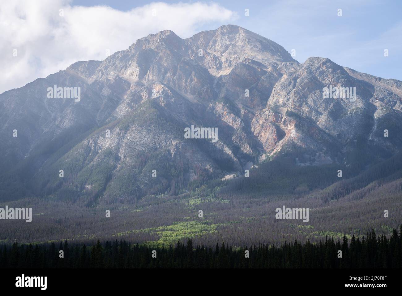 Monumental rocky mountain towering above green valley and forest, Jasper National Park, Canada Stock Photo