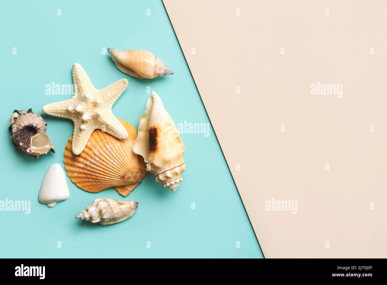 Summer holiday concept.Top view of sea shells and starfish with space for text over blue and beige background Stock Photo